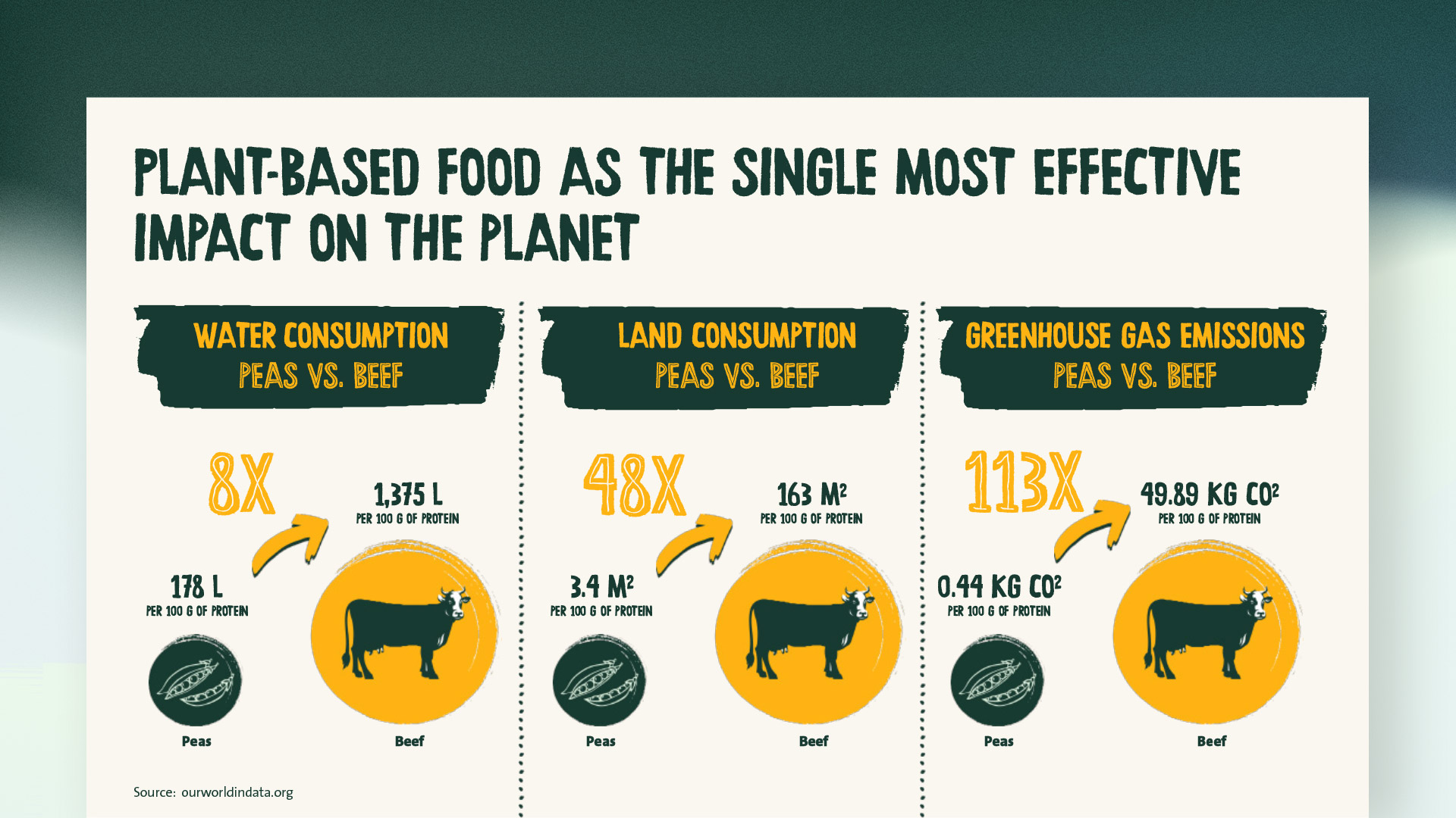 GREENFORCE Visual identity — Section 4 1